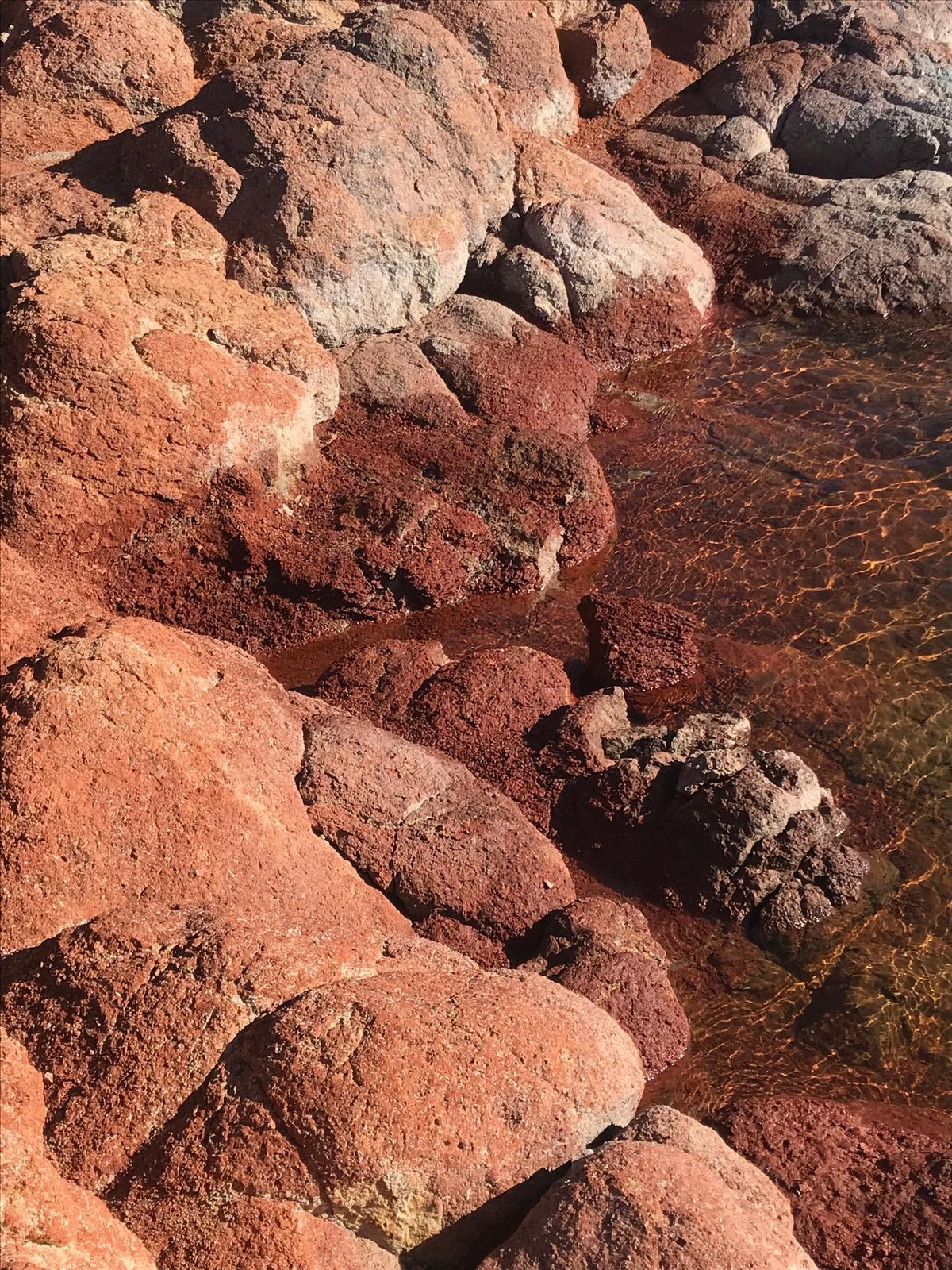 Rochers de porphyre rouge affleurant dans une eau peu profonde et transparente.